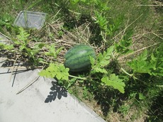 r2016.8.22 2.jpg